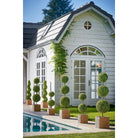 Artificial plant Boxwood Green by Mica Decorations