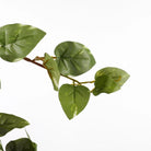 Artificial hanging plant Scindapsus hanging Green by Mica Decorations
