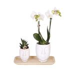 Kolibri Company – Pflanzenset Inner Retreat | Set mit weißer Phalaenopsis-Orchidee Amabilis Ø9 cm und grüner Pflanze Rhipsalis Ø6 cm und ovaler Bambusplatte | inkl. weißer keramischer Dekotöpfe von Kolibri Company