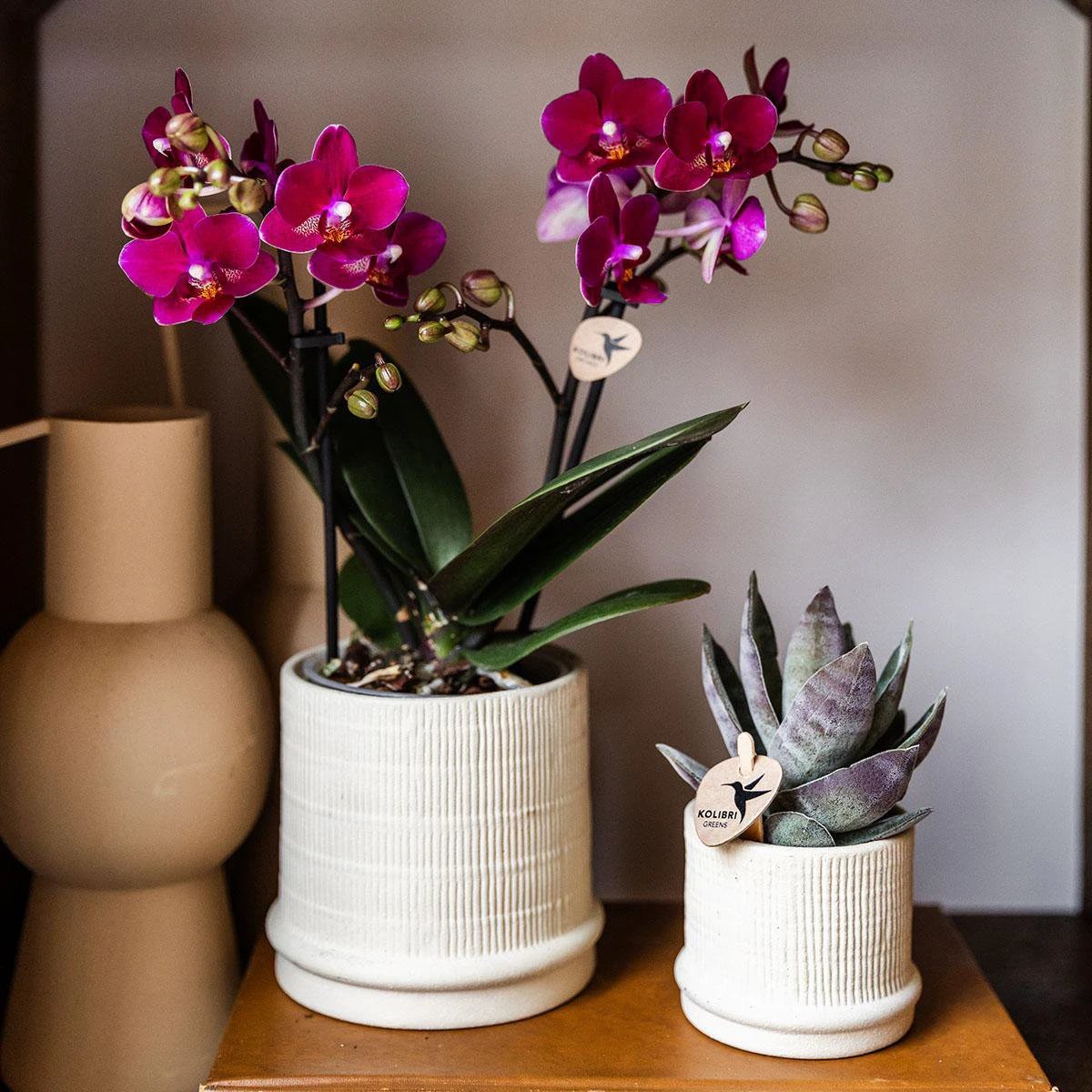 Hummingbirds Home | Bali sierpot - Off White - Ø6cm by Kolibri Company