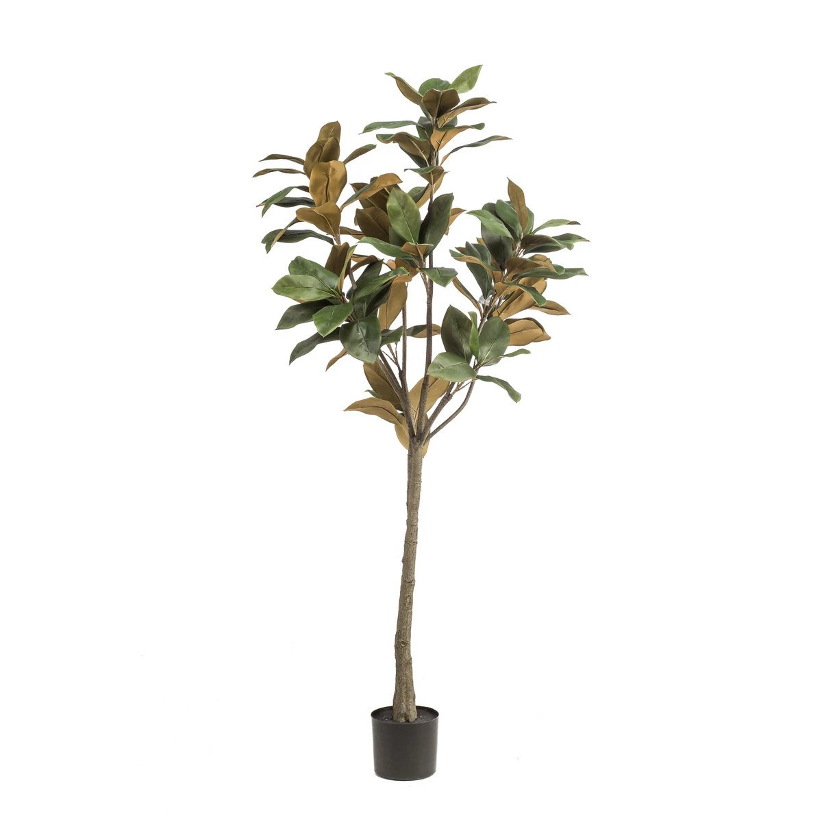 Artificial plant - Magnolia Grandiflora - 150 cm by Green boutiQ
