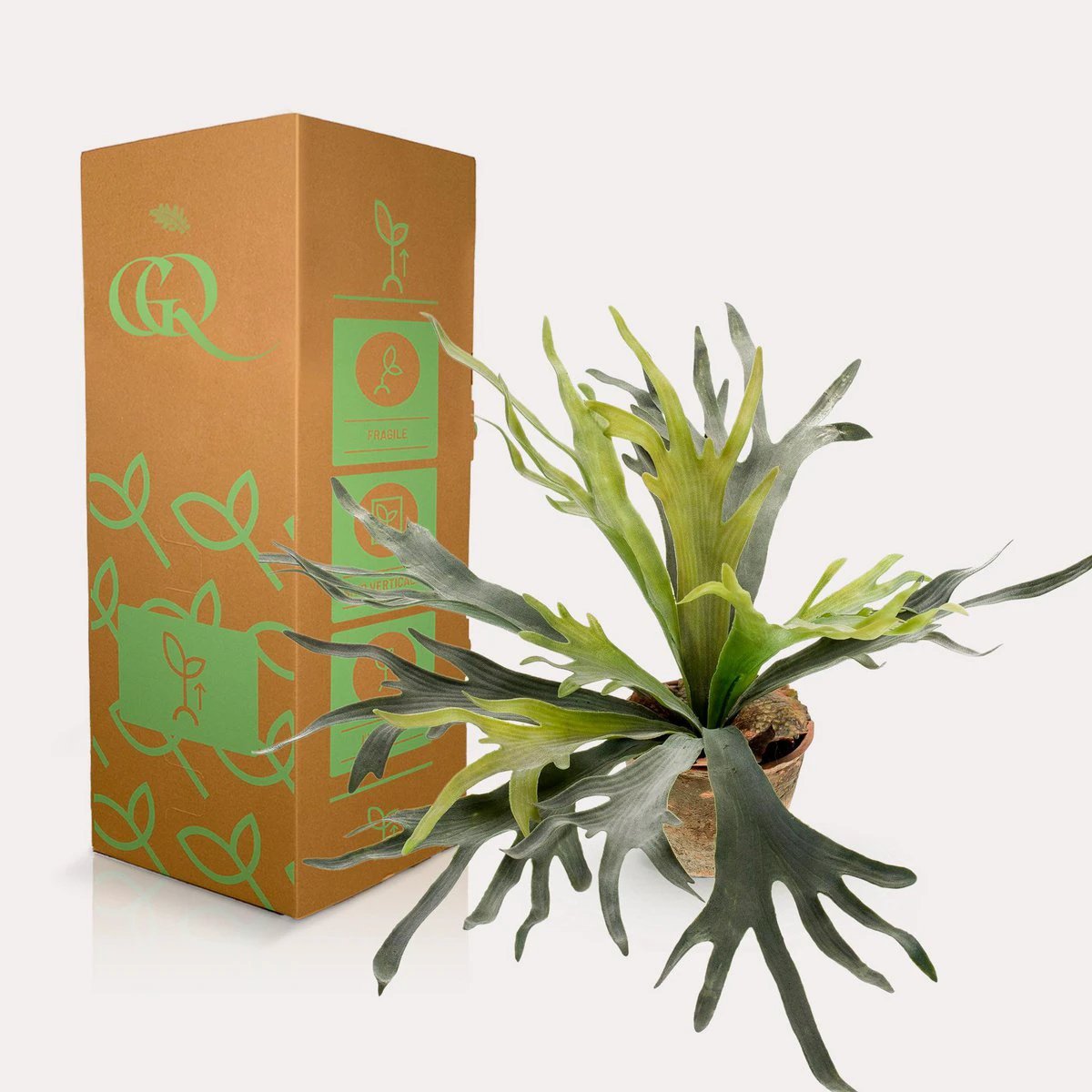 Kunstplant - Staghorn Fern - Hertshoorn - 50 cm by Green boutiQ