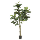 Art plant - Ficus Lyrata - Tobacco Plant - 180 cm by Green boutiQ