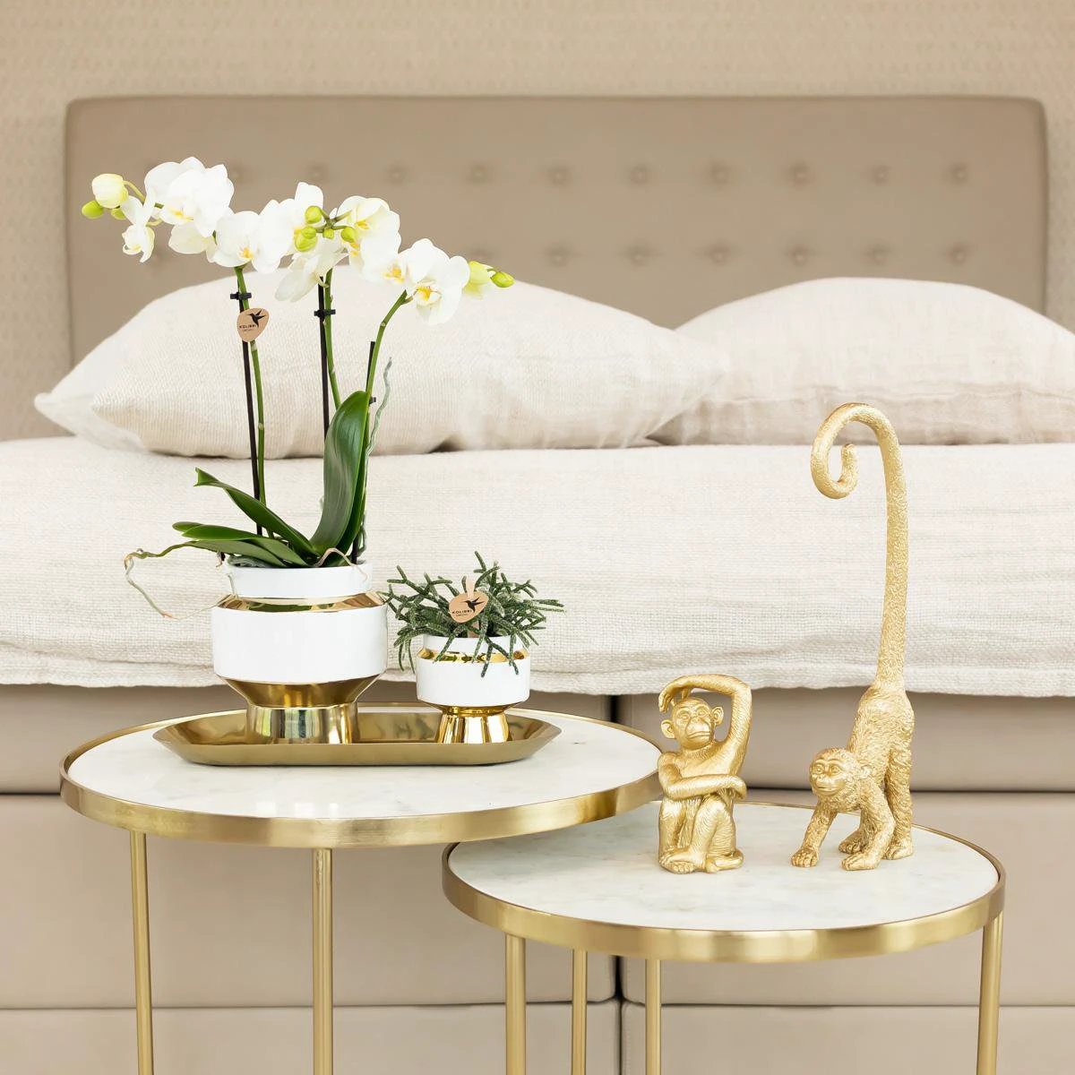 Hummingbird Home | Ornament - Decoration statue Sitting Monkey - Gold by Kolibri Company