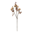 Künstliche Blume 73 cm Beige Kunststoff von Clayre & Eef.