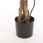 Artificial plant Ficus Green by Mica Decorations
