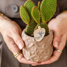 Kolibri Home | Star Fish sierpot - Sand - Ø6cm by Kolibri Company