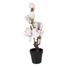 Artificial tree Magnolia 12x12x40 cm White Plastic by Clayre & Eef.