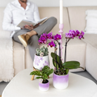 Kolibri Home | Coral - Lilac - Ø9cm by Kolibri Company