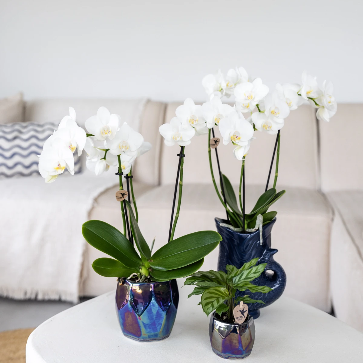 Kolibri Home I Pearl pot - Blue - Ø9cm by Kolibri Company