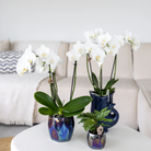 Kolibri Home I Pearl pot - Blue - Ø9cm by Kolibri Company