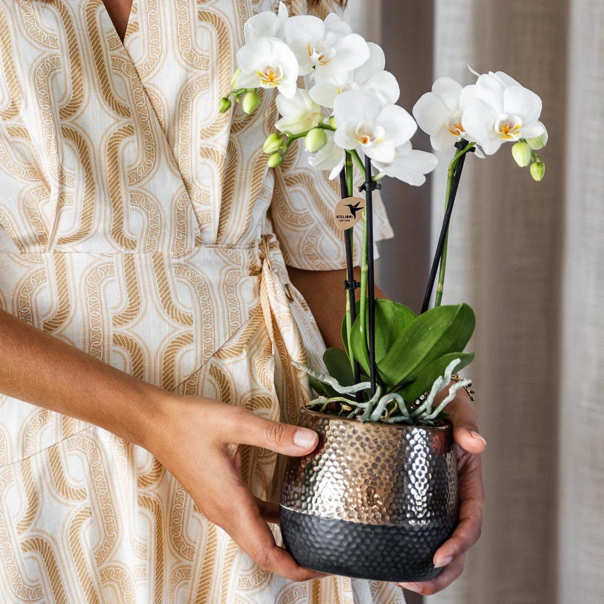 Hummingbird Home | Elite pot copper - Ø9cm by Kolibri Company