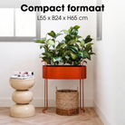 Flowerpot inside Moritz Red by Mica Decorations