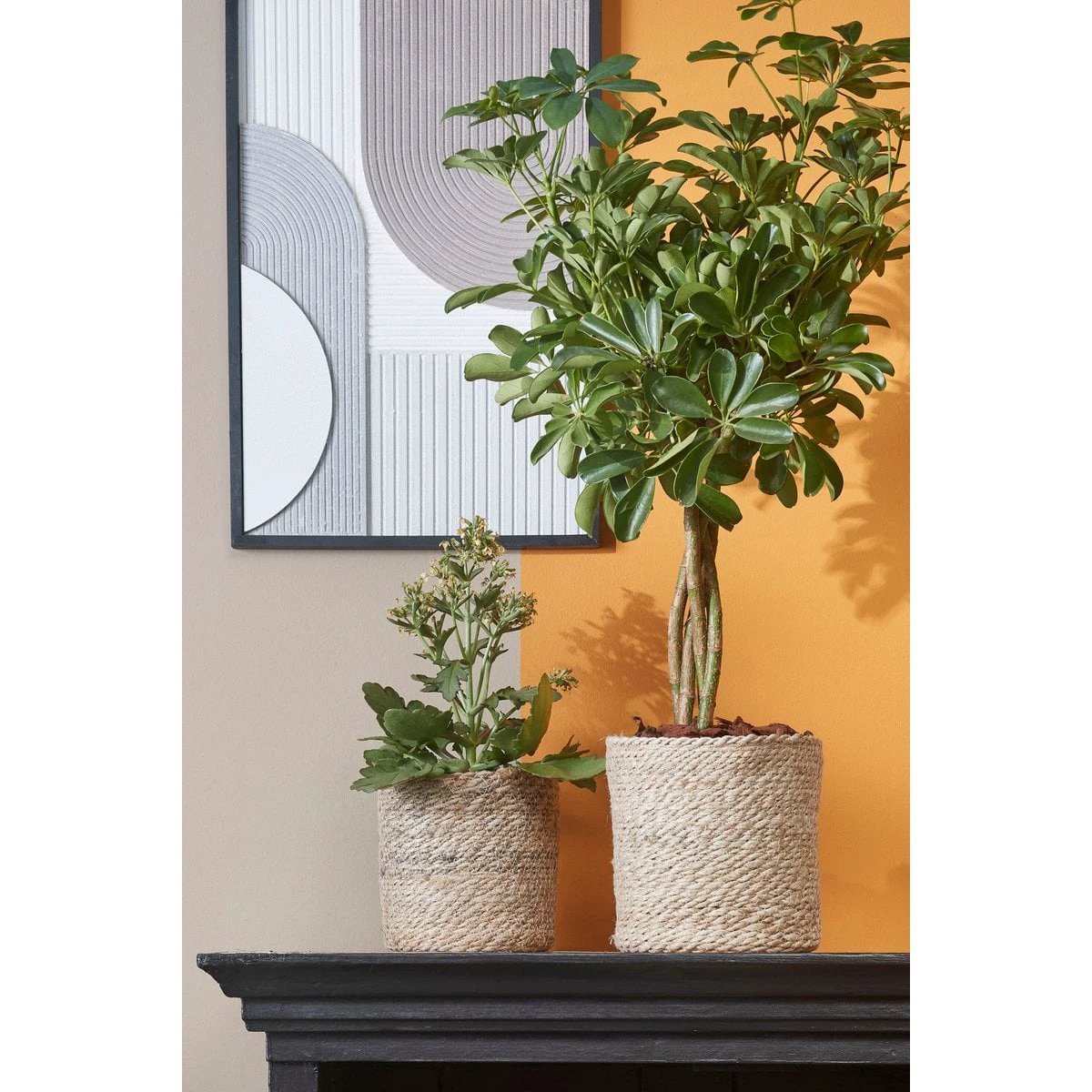 Plantenmand set Atlantic Crème by Mica Decorations
