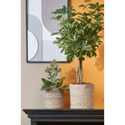 Plantenmand set Atlantic Crème by Mica Decorations
