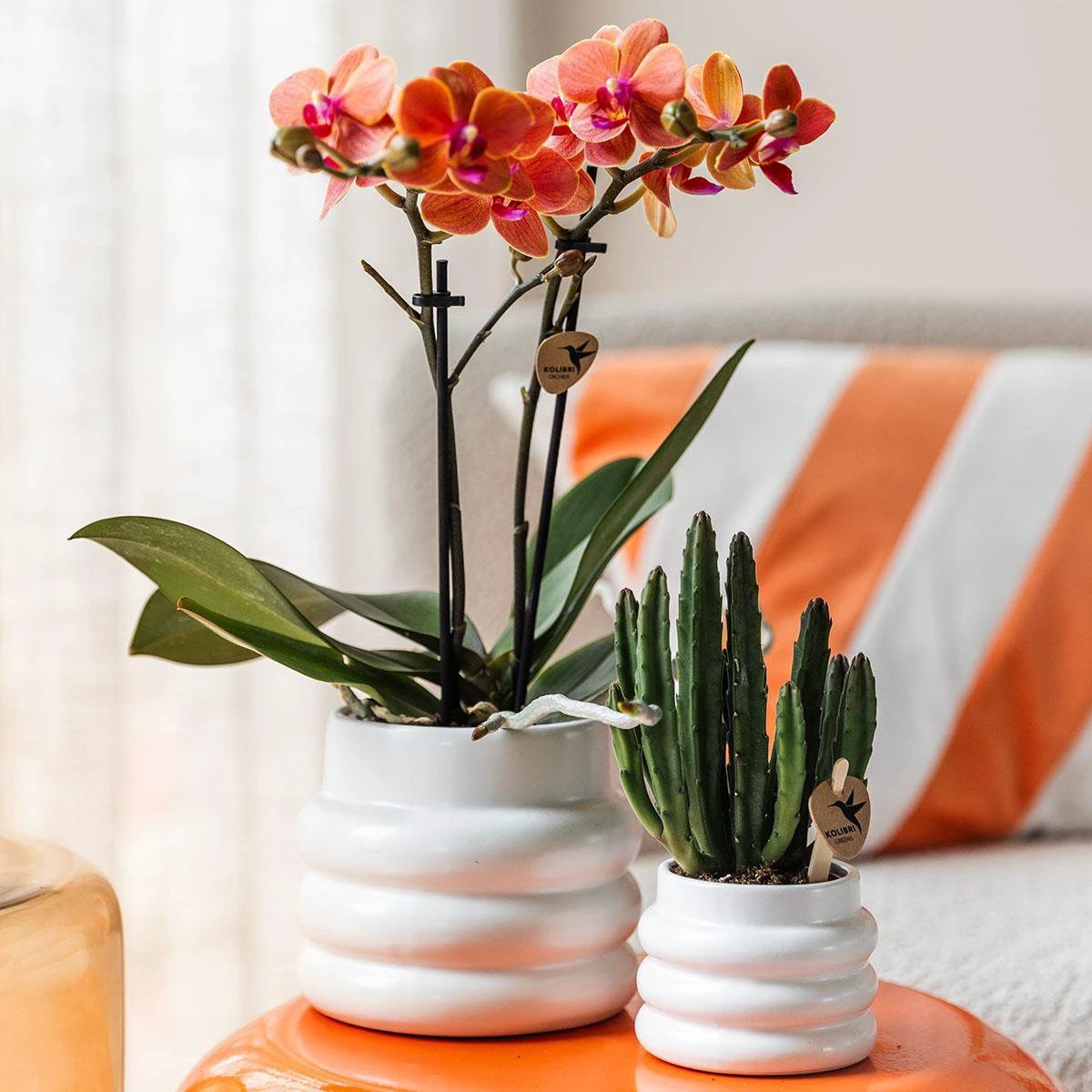 Hummingbird Home | Bubble pot white - Ø9cm by Kolibri Company