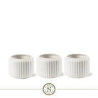 Bologna White Champion by Blooming Luxury