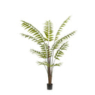 Art Plant - Rumohra Adiantiformis - The Leader Varge - 180 cm by Green boutiQ
