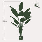 Kunstpflanze – Strelitzia Nicolai – Paradiesvogelblume – 190 cm von Green boutiQ