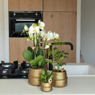 Hummingbird Home | Groove flower pot - Golden ceramic decorative pot - pot size - Ø6cm by Kolibri Company
