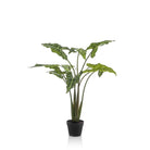 Artificial plant - Alocasia Frydek - Elephant's ear - 120 cm by Green boutiQ