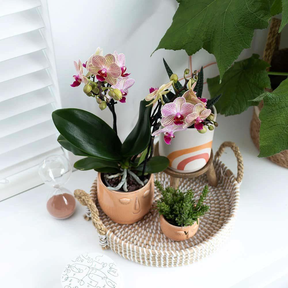 Hummingbird Home | Decorative bowl - White woven tray Ø30cm by Kolibri Company