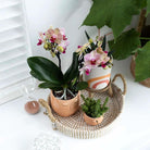 Hummingbird Home | Decorative bowl - White woven tray Ø30cm by Kolibri Company