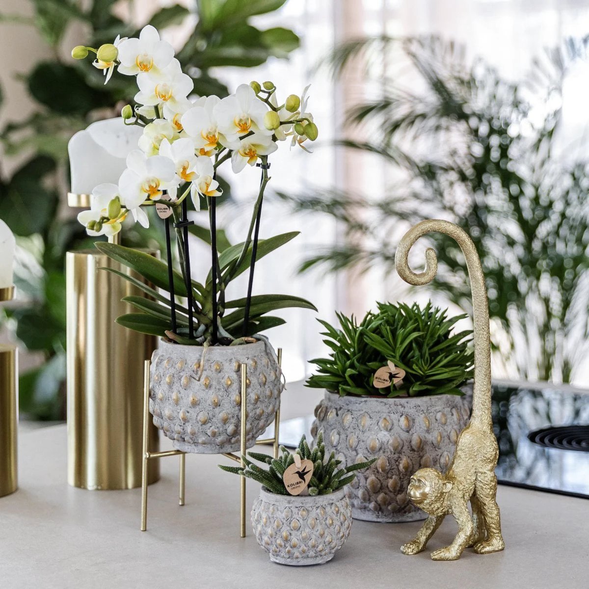 Hummingbird Home | Plant stand - Gold metal plant stand Ø12cm by Kolibri Company