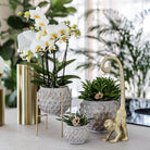Hummingbird Home | Plant stand - Gold metal plant stand Ø12cm by Kolibri Company