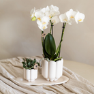 Kolibri Home | Retro sierpot - White - Ø6cm by Kolibri Company