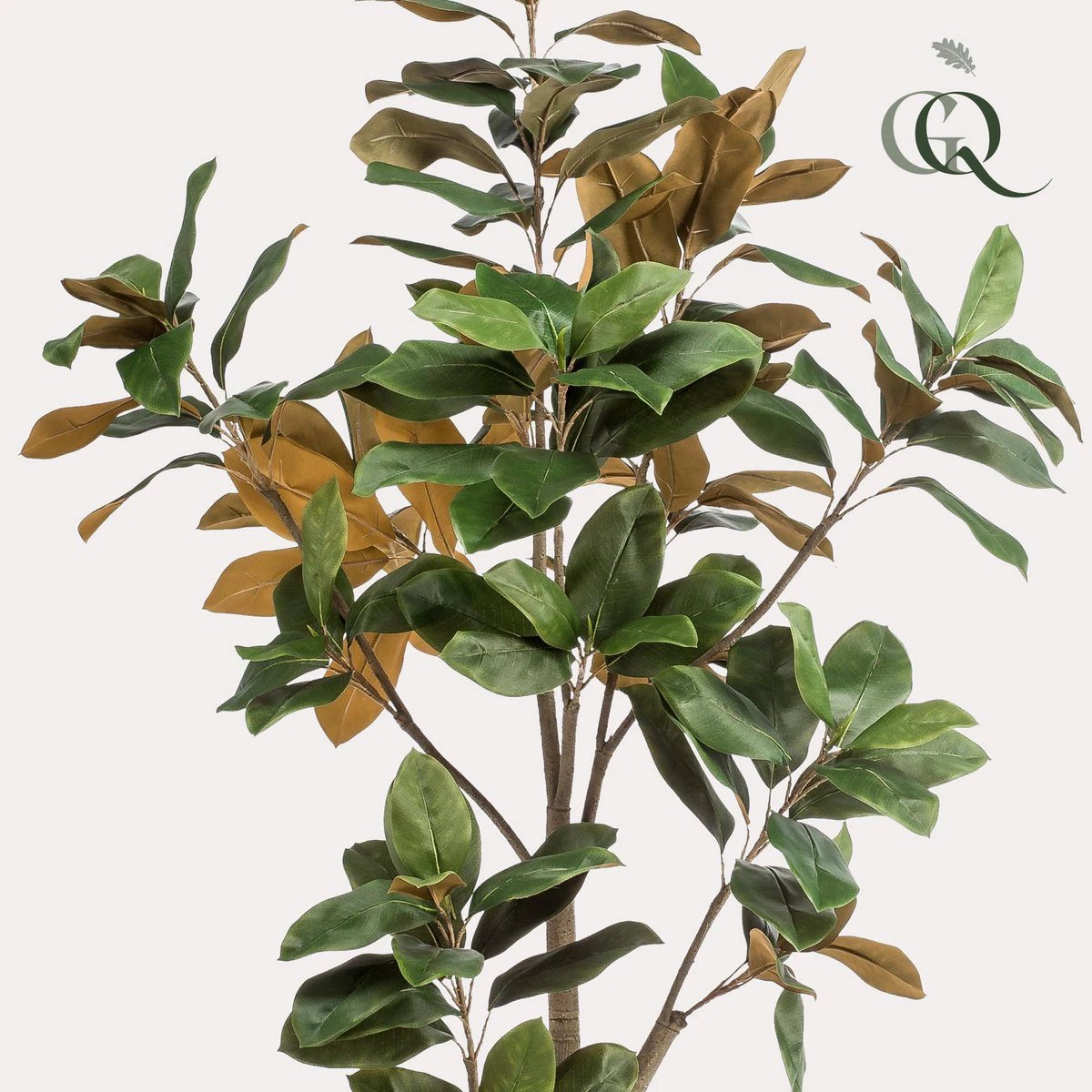 Artificial plant - Magnolia Grandiflora - 180 cm by Green boutiQ