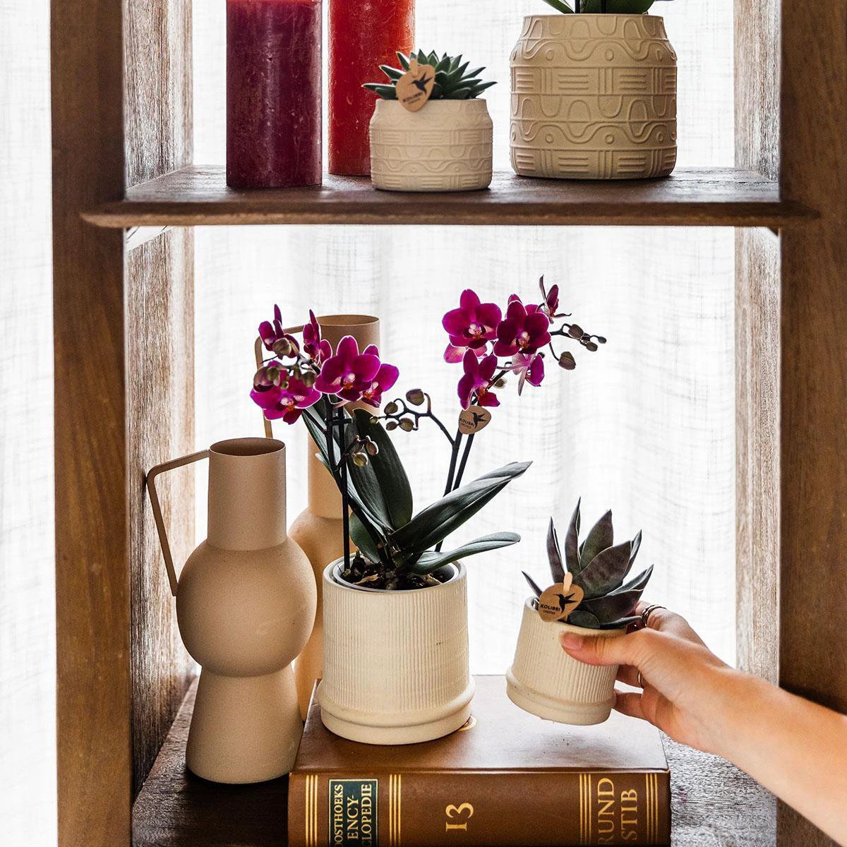 Kolibri Home | Bali sierpot - Off White - Ø9cm by Kolibri Company