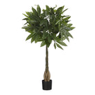 Artificial plant Pachira Green by Mica Decorations