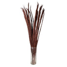 Trockenblumen 10x5x85 cm von Clayre & Eef.