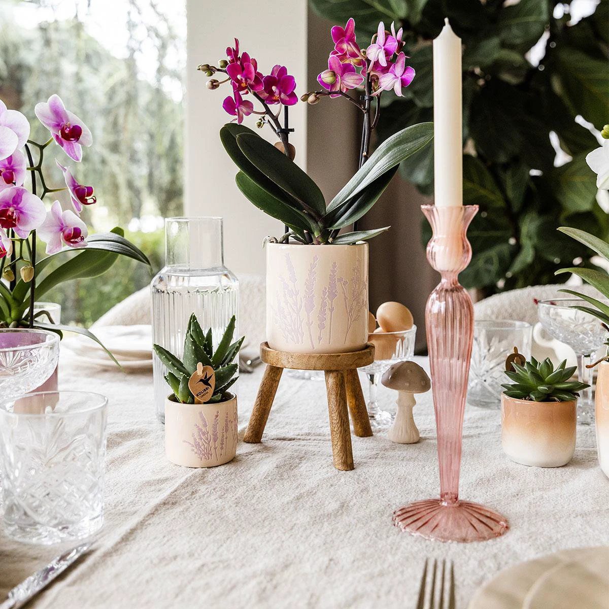 Kolibri Home | Floral flowerpot - Lavender - 6cm by Kolibri Company