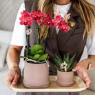 Kolibri Home | Bali sierpot - Sand - Ø9cm by Kolibri Company