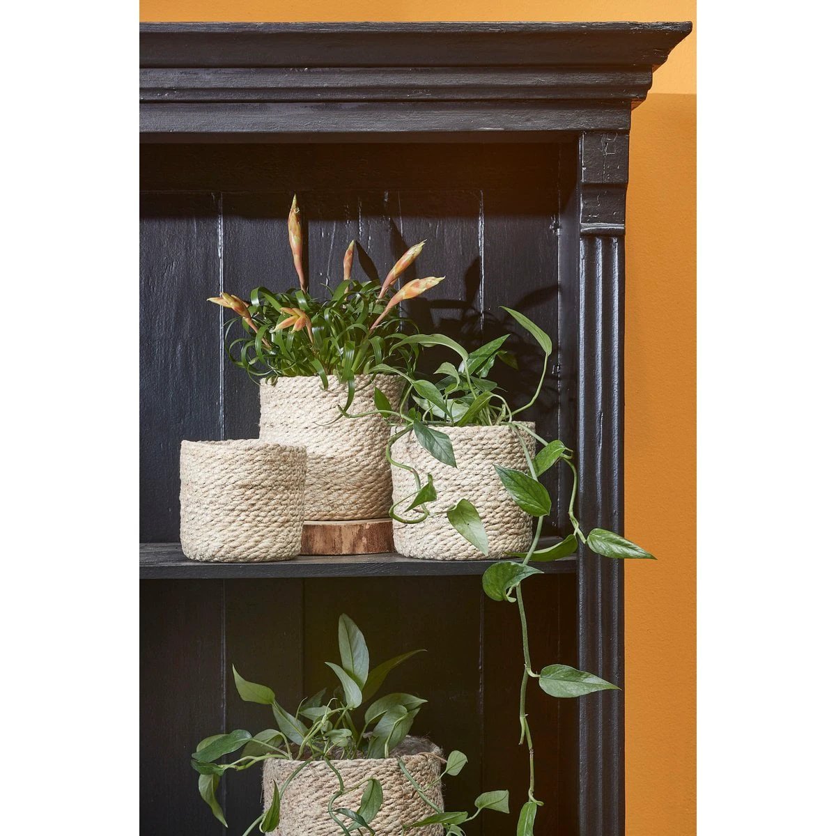 Plantenmand set Atlantic Crème by Mica Decorations