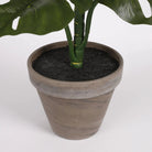 Artificial plant Monstera green by Mica Decorations