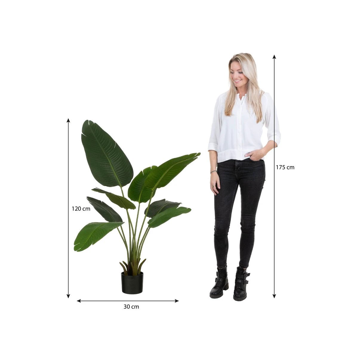 Artificial plant Green by Mica Decorations