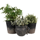 Dekorativer Blumentopf Ø 17x16 cm von Clayre & Eef.