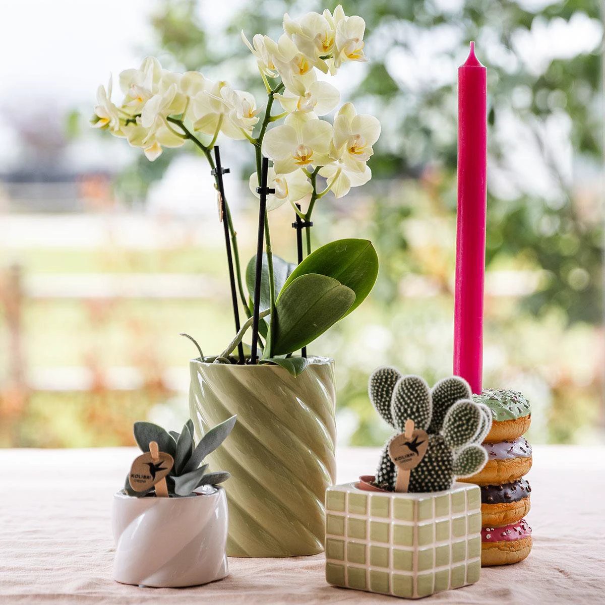 Hummingbird Home | Candy decorative pot | High - Green - Ø9cm by Kolibri Company