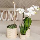 Kolibri Home | Diamond pearl sierpot - Travertine - Ø6cm by Kolibri Company