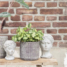 Decoration flower pot Ø 17x16 cm by Clayre & Eef.
