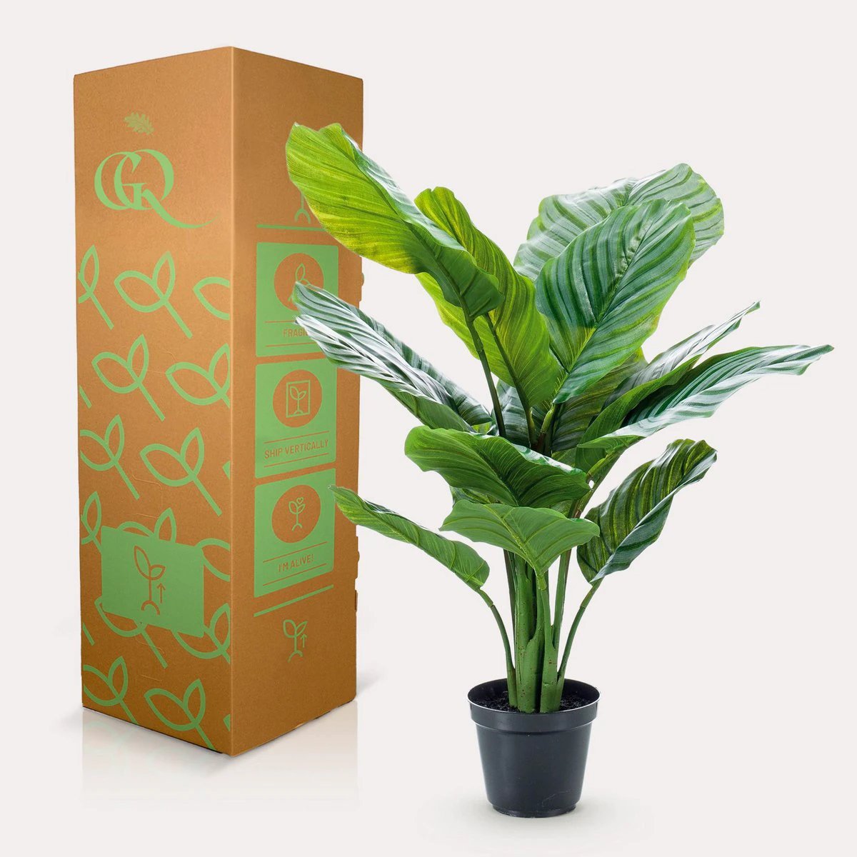 Kunstpflanze – Calathea Orbifolia – Schattenpflanze – 60 cm von Green boutiQ