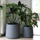 Plantenpot - Portland grey by Vase The World
