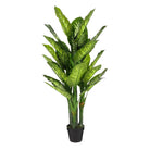 Artificial plant Dieffenbachia Green by Mica Decorations