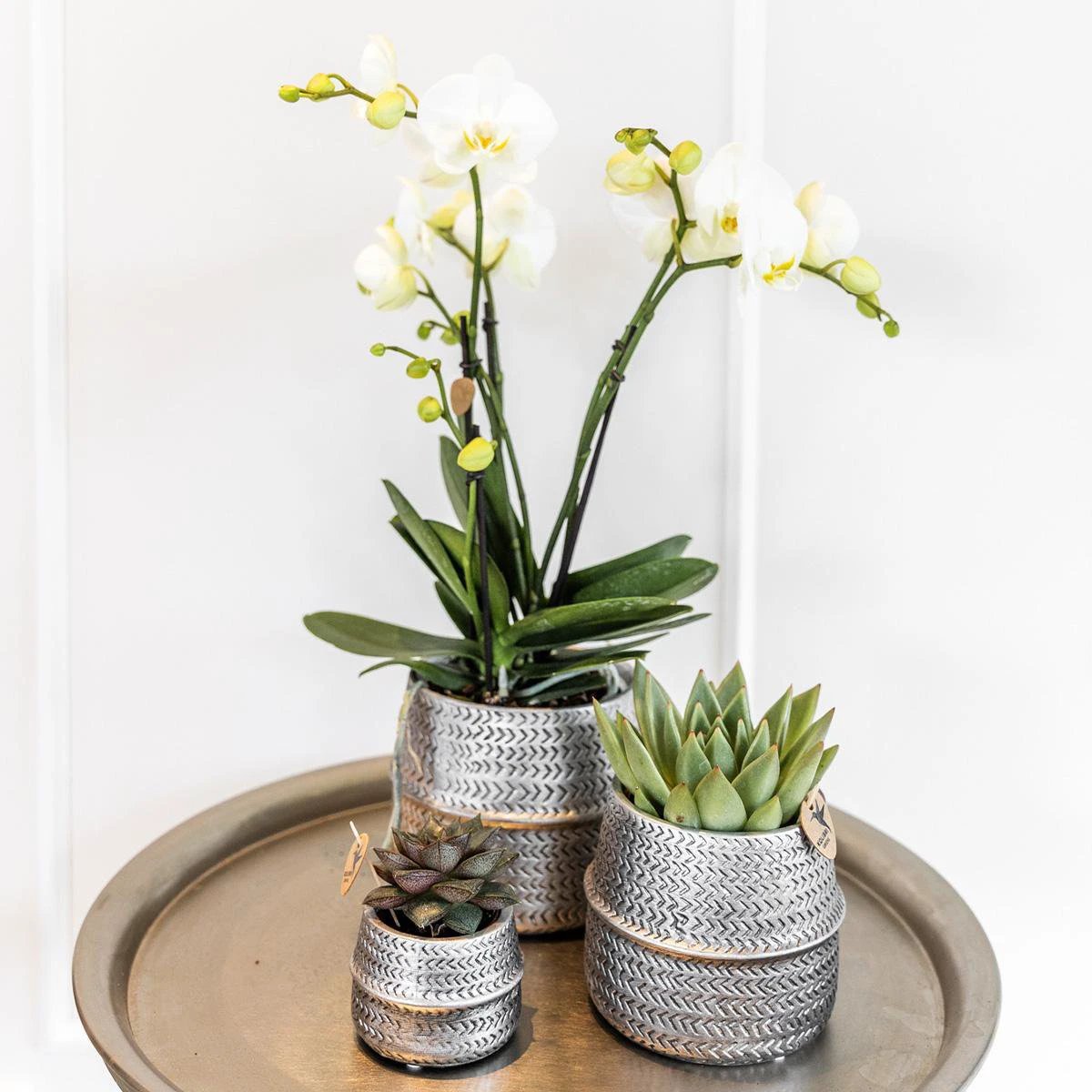 Kolibri Home | Groove Flowerpot - Silver Ceramic Sierpot - Ø9cm by Kolibri Company
