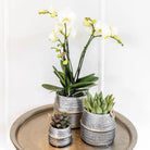 Kolibri Home | Groove Flowerpot - Silver Ceramic Sierpot - Ø9cm by Kolibri Company