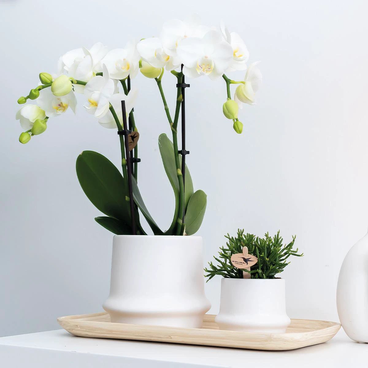 Hummingbird Home | Bamboo oval tray by Kolibri Company