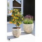 Plantenpot - Laki relic beige set Ø36/25 x H34/25 cm - (set van 2 stuks) by Vase The World